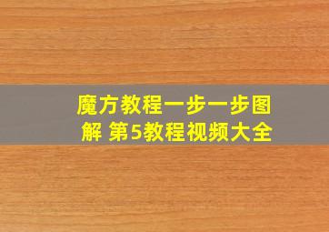 魔方教程一步一步图解 第5教程视频大全